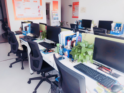 辰星房产信息咨询服务 您的专业房产决策伙伴